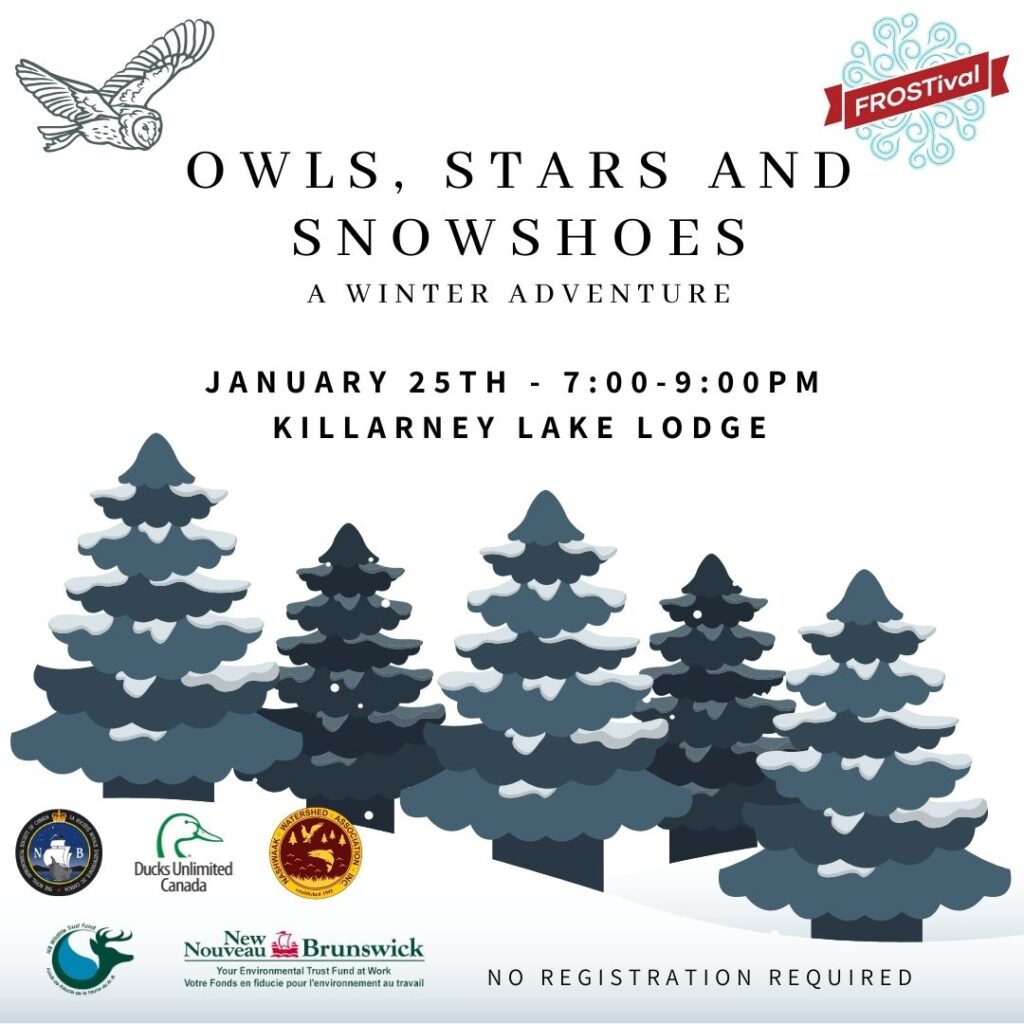 Join us for a FREE FROSTival event! No registration required, email education@nashwaakwatershed.ca to reserve snowshoes.